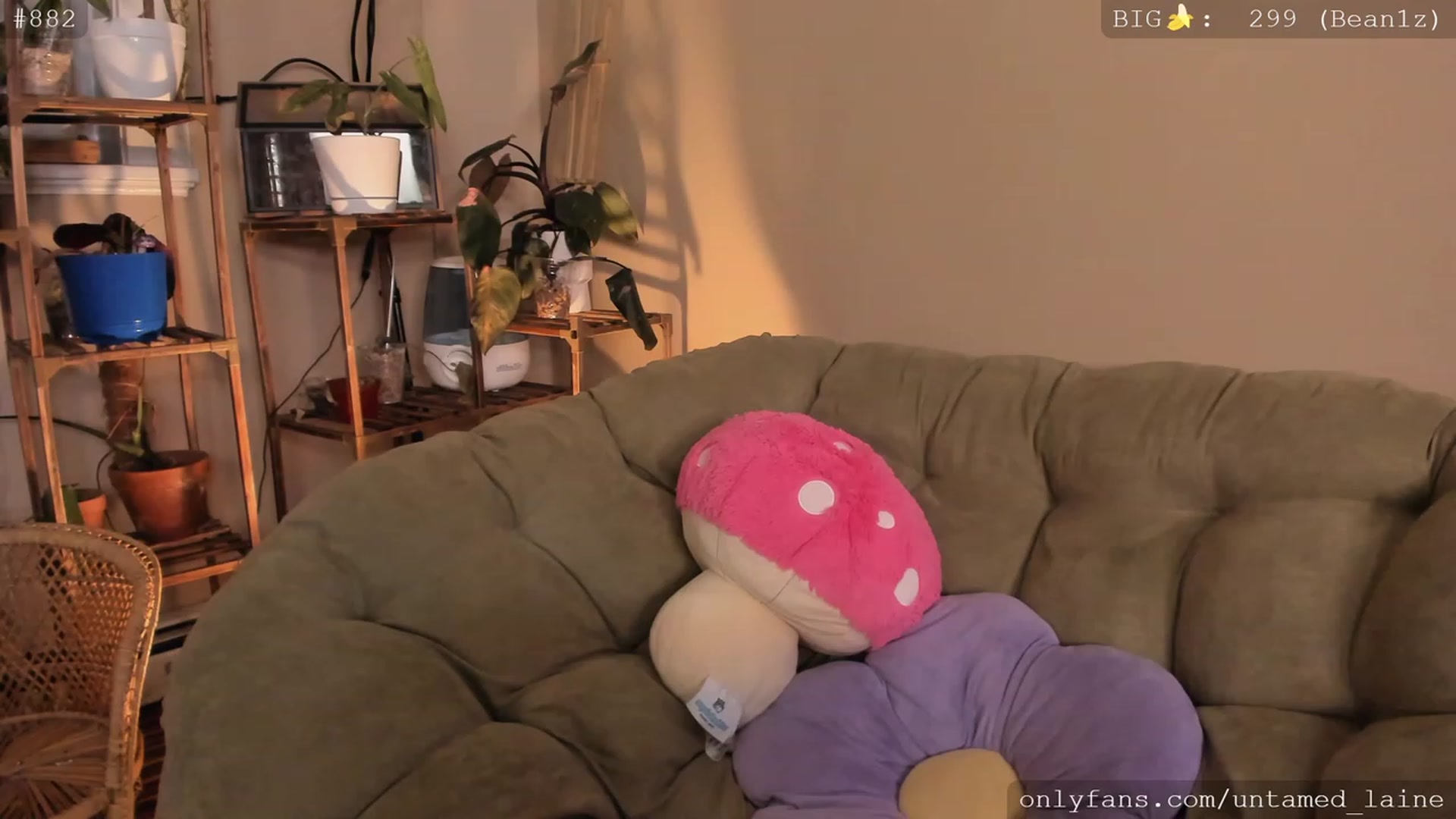 Gallery image thumbnail from e_laine's myfreecams stream on, 12/10/2022, 02:44 image 19 of 20