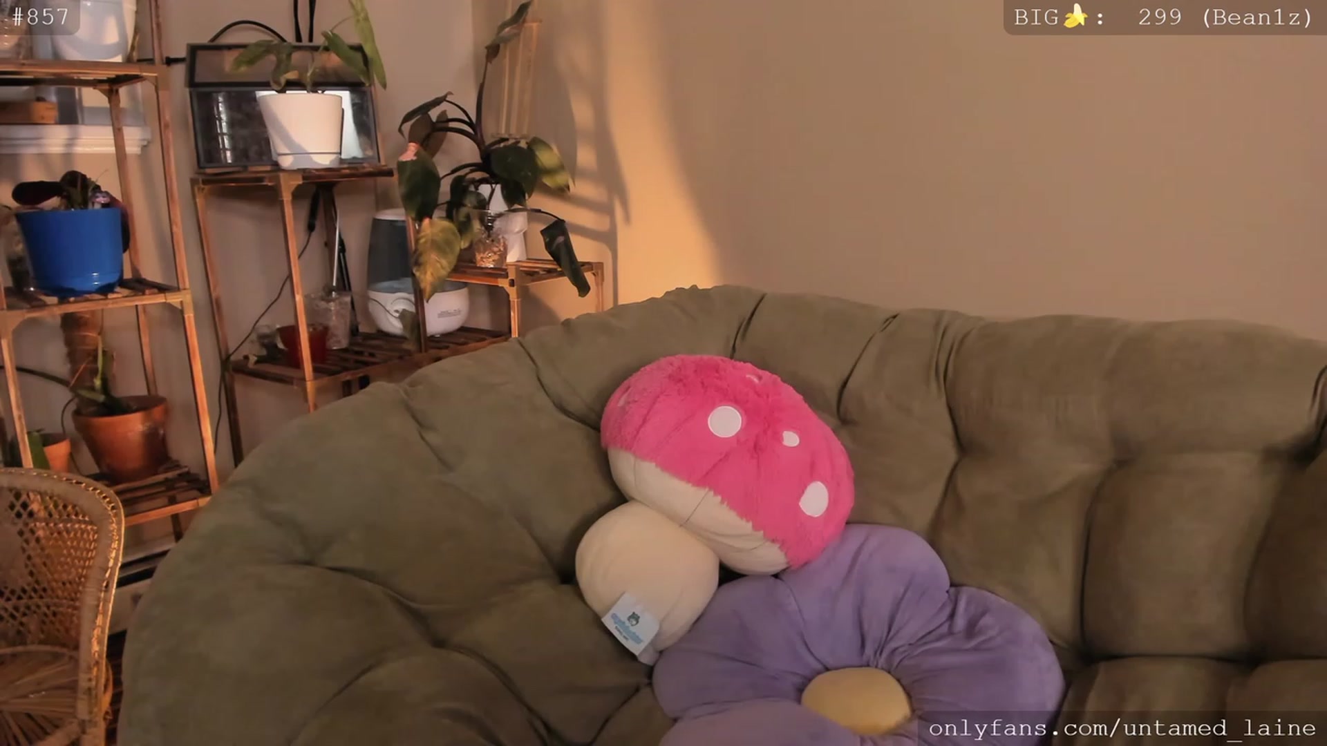 Gallery image thumbnail from e_laine's myfreecams stream on, 12/10/2022, 04:12 image 4 of 20