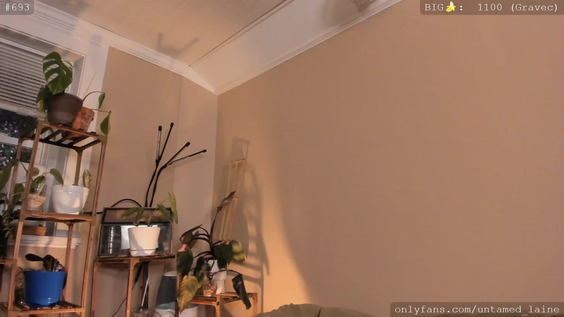 Gallery image thumbnail from e_laine's myfreecams stream on, 12/10/2022, 04:12 image 19 of 20