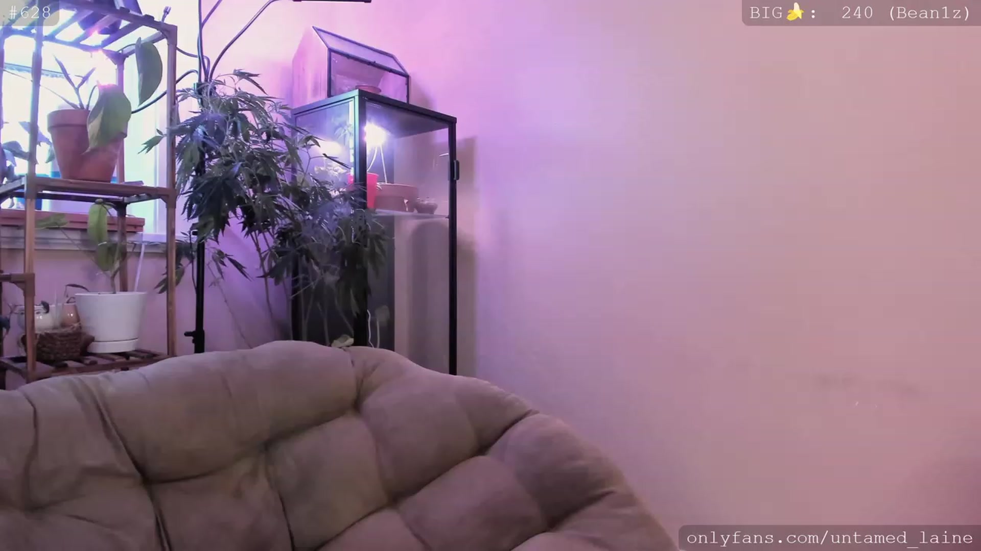 Gallery image thumbnail from e_laine's myfreecams stream on, 01/12/2023, 19:42 image 2 of 20