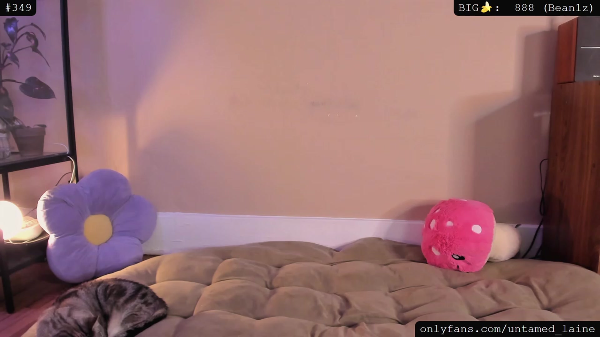 Gallery image thumbnail from e_laine's myfreecams stream on, 04/08/2023, 03:14 image 5 of 20
