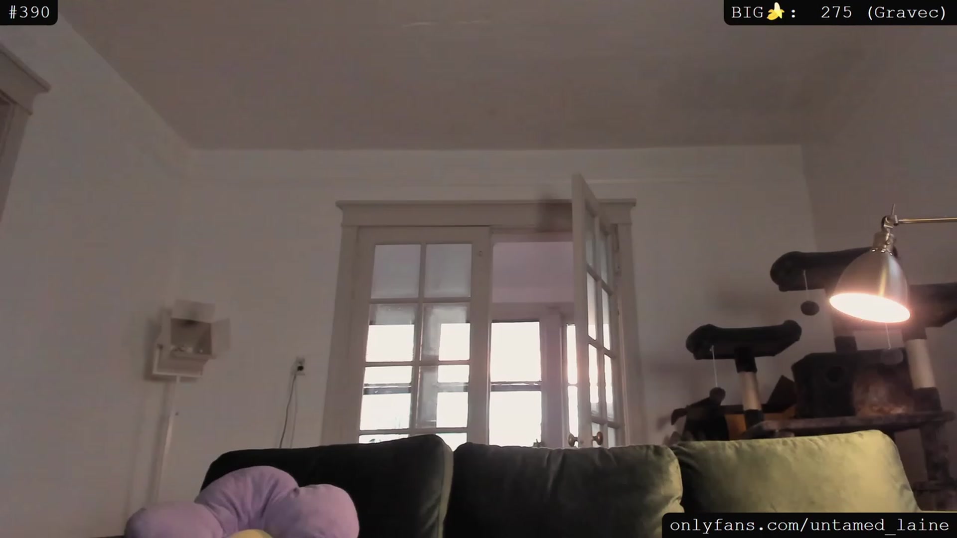 Gallery image thumbnail from e_laine's myfreecams stream on, 04/14/2023, 01:49 image 18 of 20