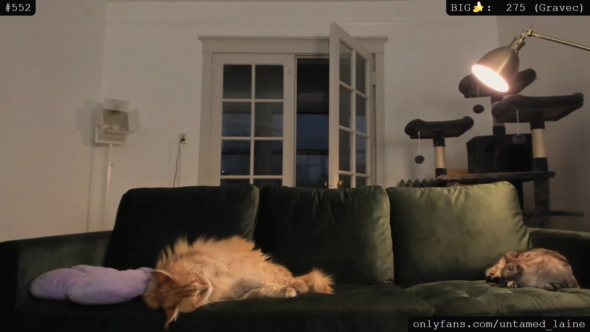 Gallery image thumbnail from e_laine's myfreecams stream on, 04/26/2023, 02:35 image 12 of 20