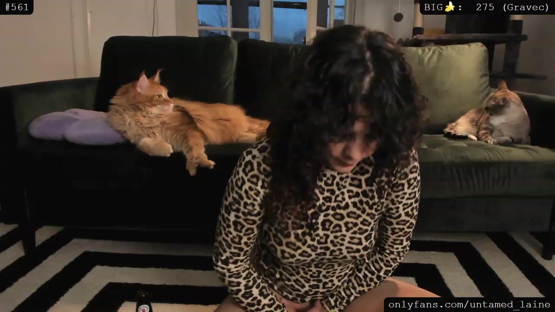 Gallery image thumbnail from e_laine's myfreecams stream on, 04/26/2023, 02:35 image 8 of 20