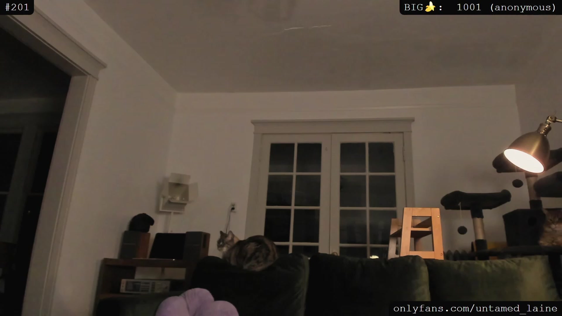 Gallery image thumbnail from e_laine's myfreecams stream on, 05/04/2023, 04:30 image 9 of 20