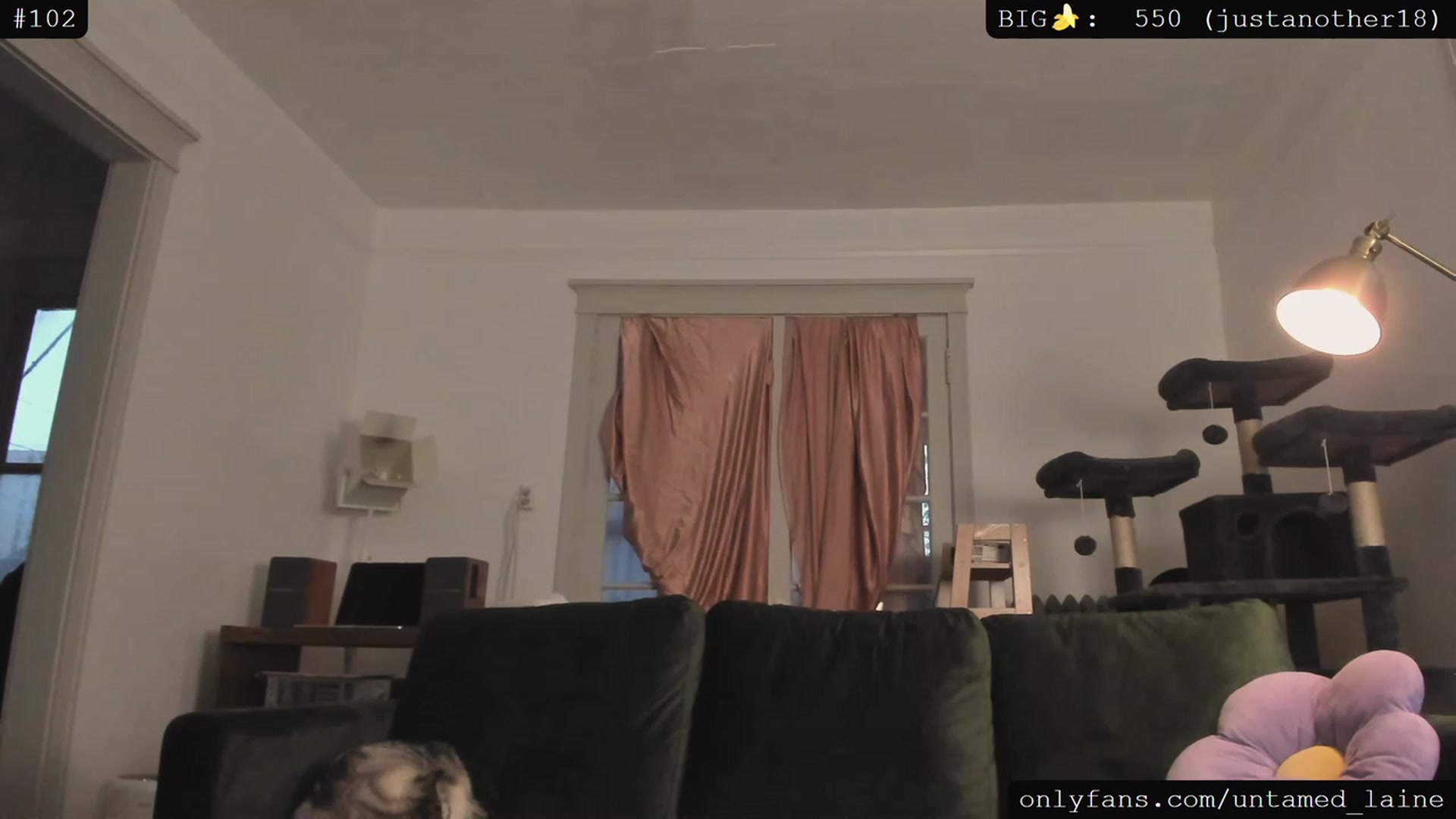 Gallery image thumbnail from e_laine's myfreecams stream on, 05/12/2023, 01:55 image 16 of 20