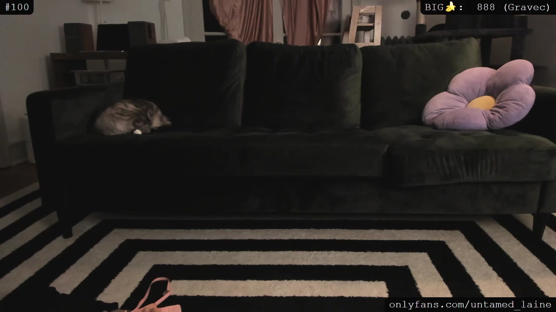Gallery image thumbnail from e_laine's myfreecams stream on, 05/12/2023, 03:49 image 5 of 20