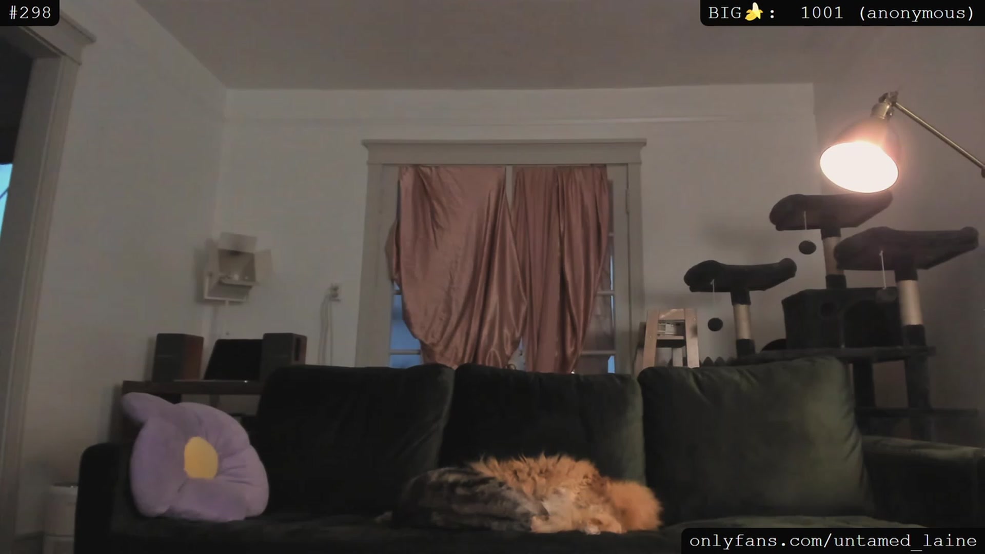 Gallery image thumbnail from e_laine's myfreecams stream on, 05/24/2023, 02:41 image 5 of 20