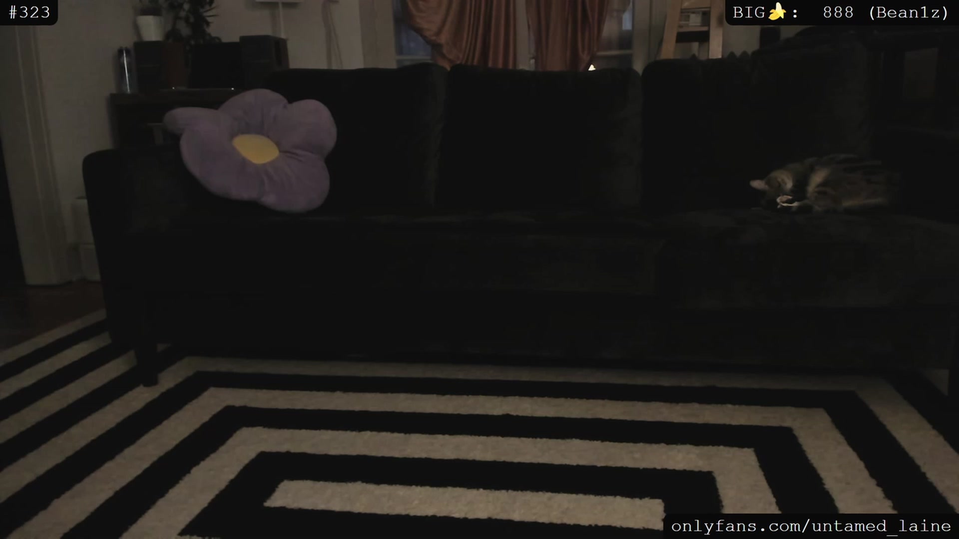 Gallery image thumbnail from e_laine's myfreecams stream on, 05/28/2023, 02:51 image 16 of 20