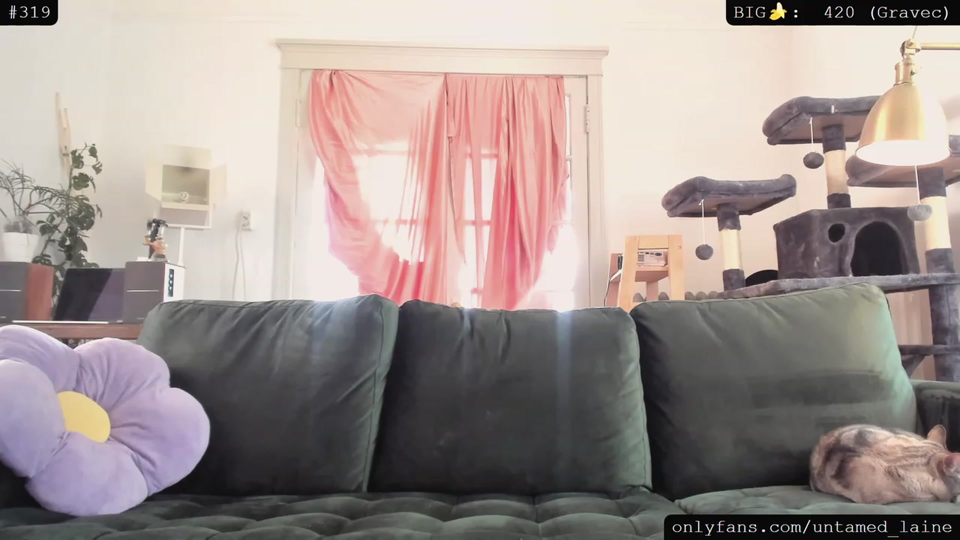 Gallery image thumbnail from e_laine's myfreecams stream on, 05/31/2023, 01:02 image 14 of 20