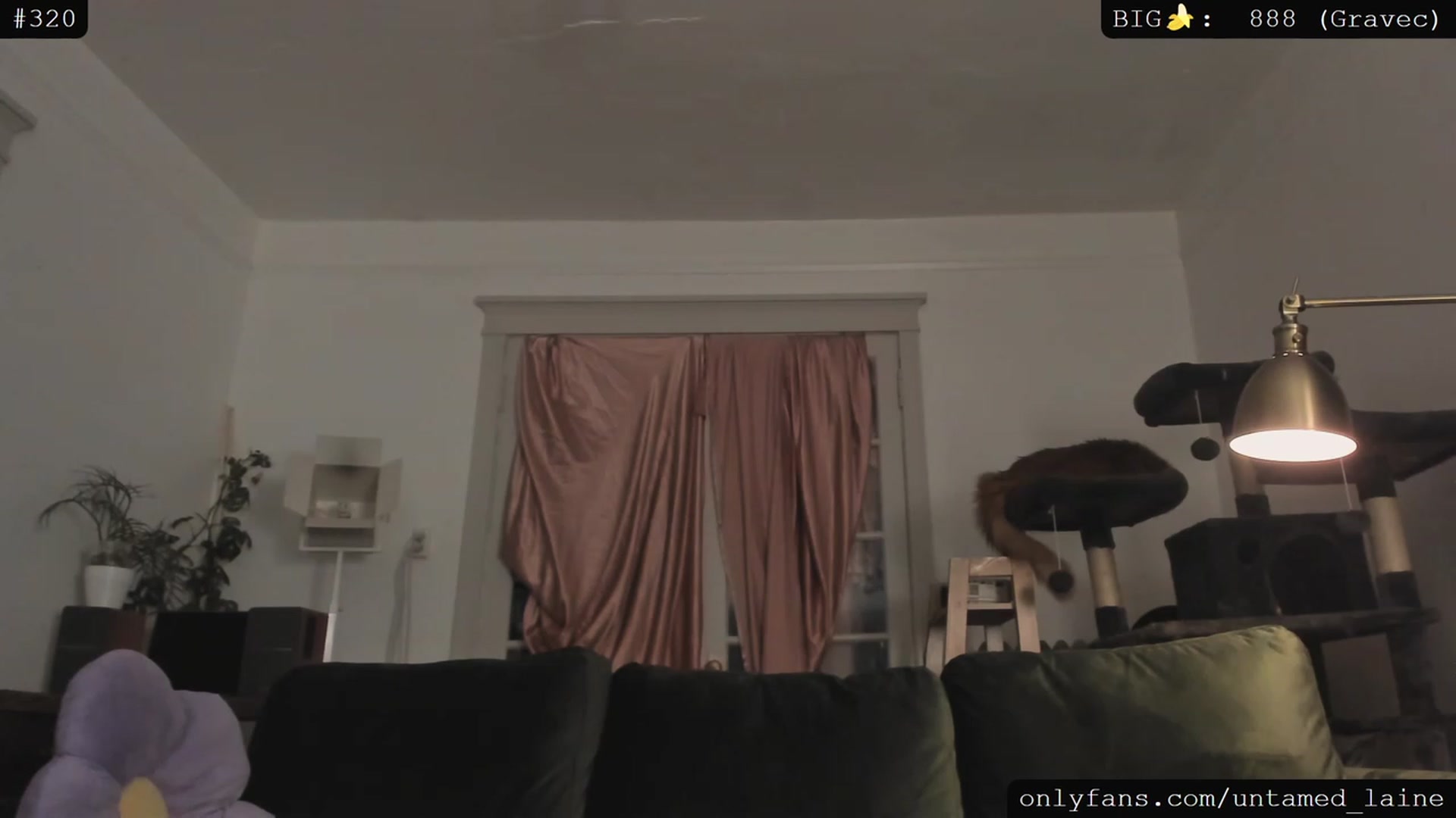 Gallery image thumbnail from e_laine's myfreecams stream on, 06/01/2023, 02:49 image 20 of 20