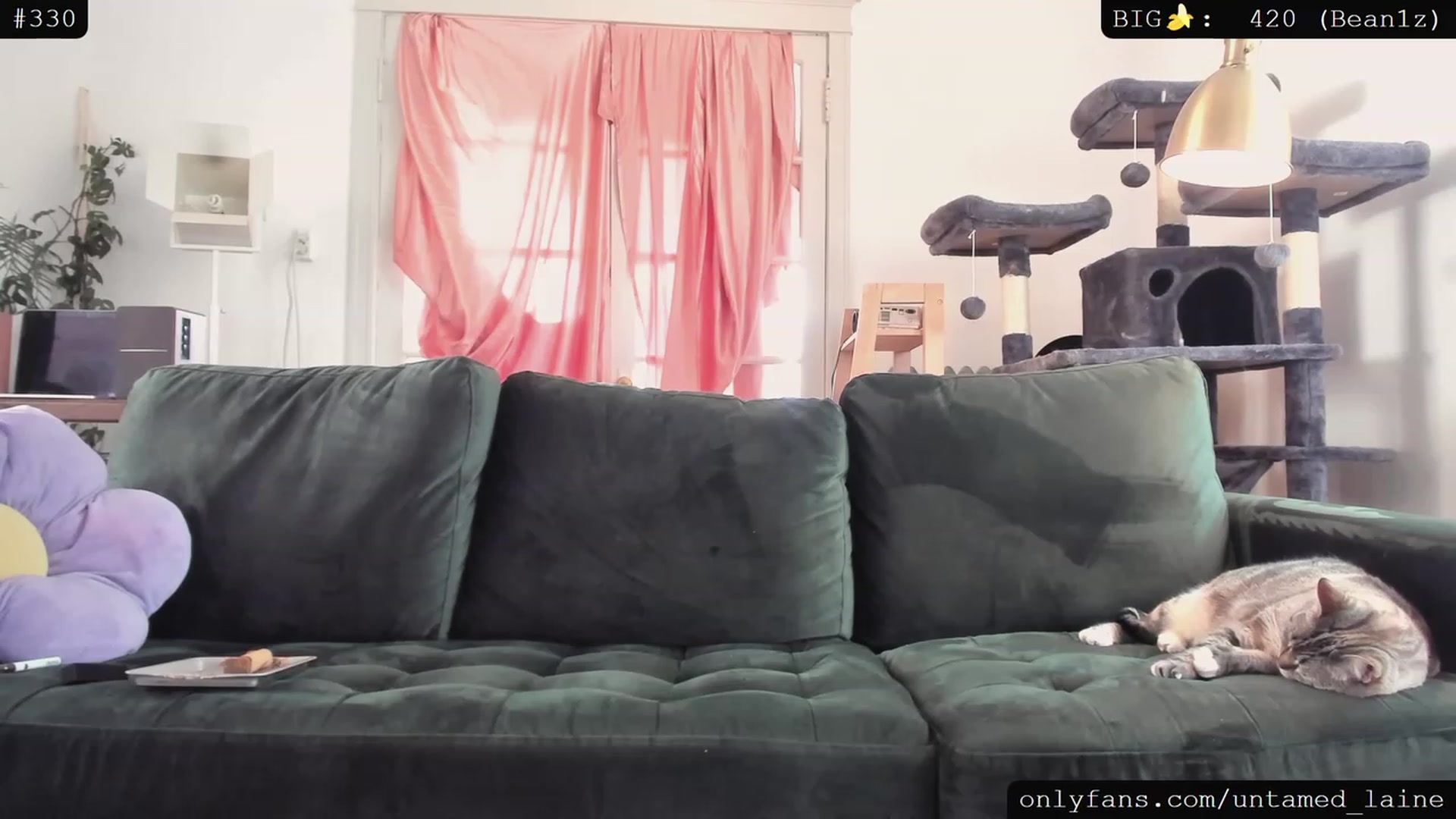Gallery image thumbnail from e_laine's myfreecams stream on, 06/01/2023, 02:49 image 2 of 20