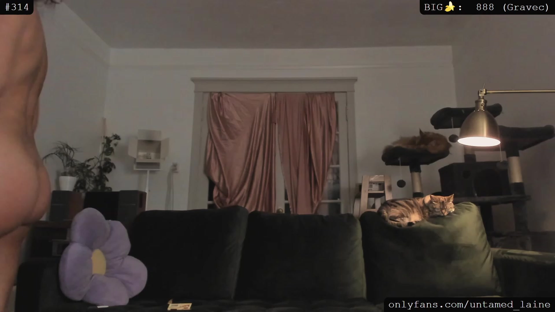 Gallery image thumbnail from e_laine's myfreecams stream on, 06/01/2023, 04:07 image 8 of 20