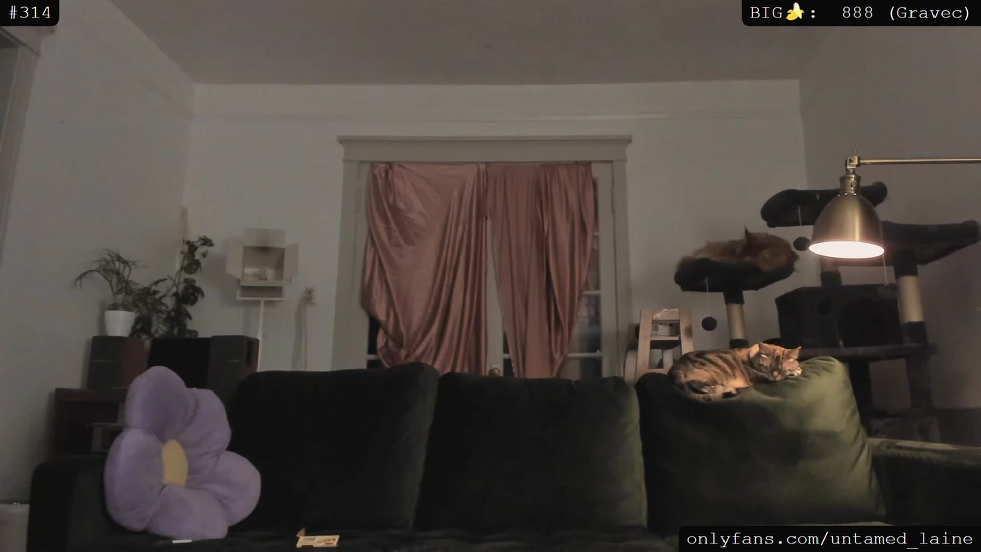Gallery image thumbnail from e_laine's myfreecams stream on, 06/01/2023, 04:07 image 10 of 20
