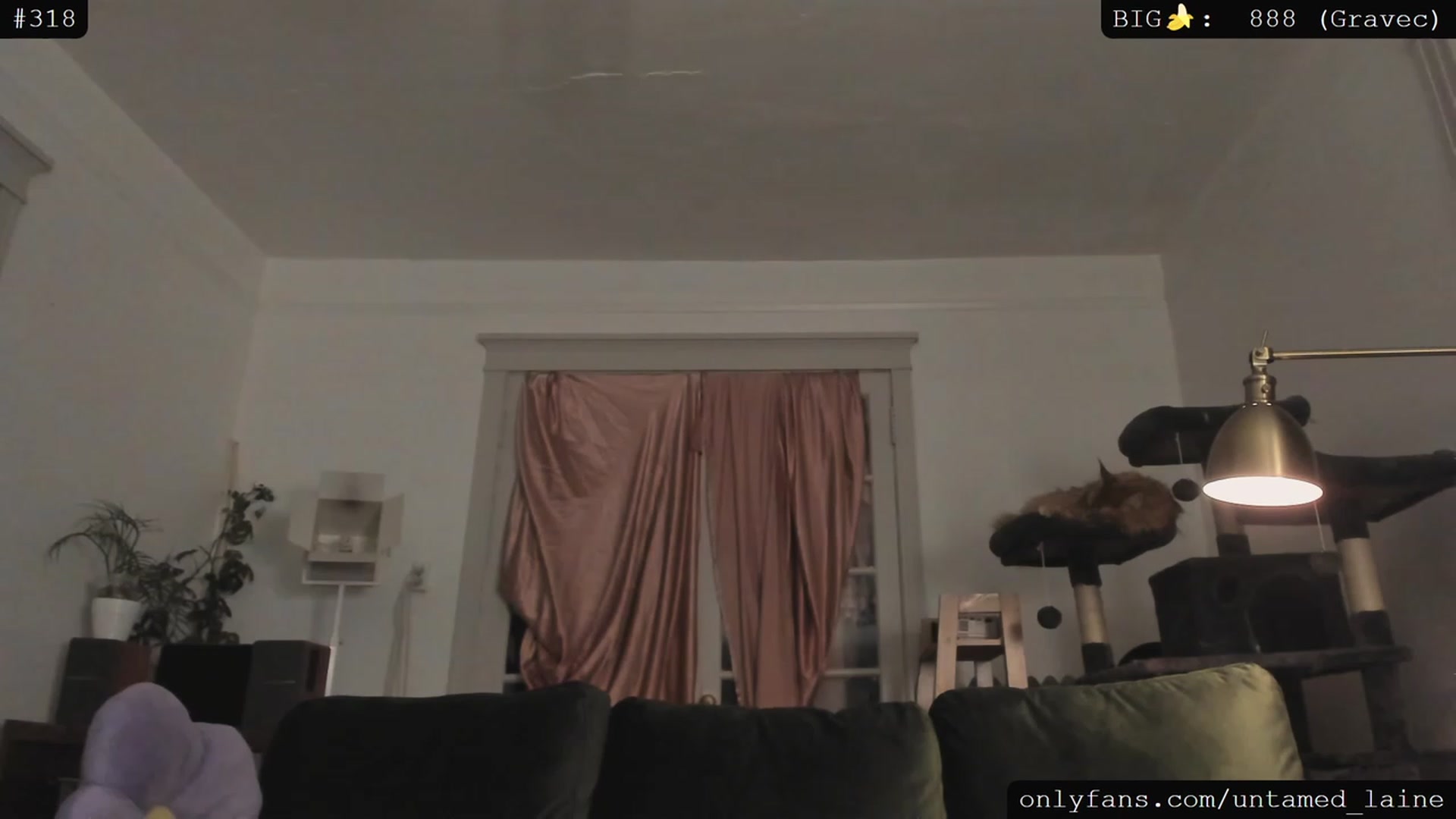 Gallery image thumbnail from e_laine's myfreecams stream on, 06/01/2023, 04:07 image 2 of 20