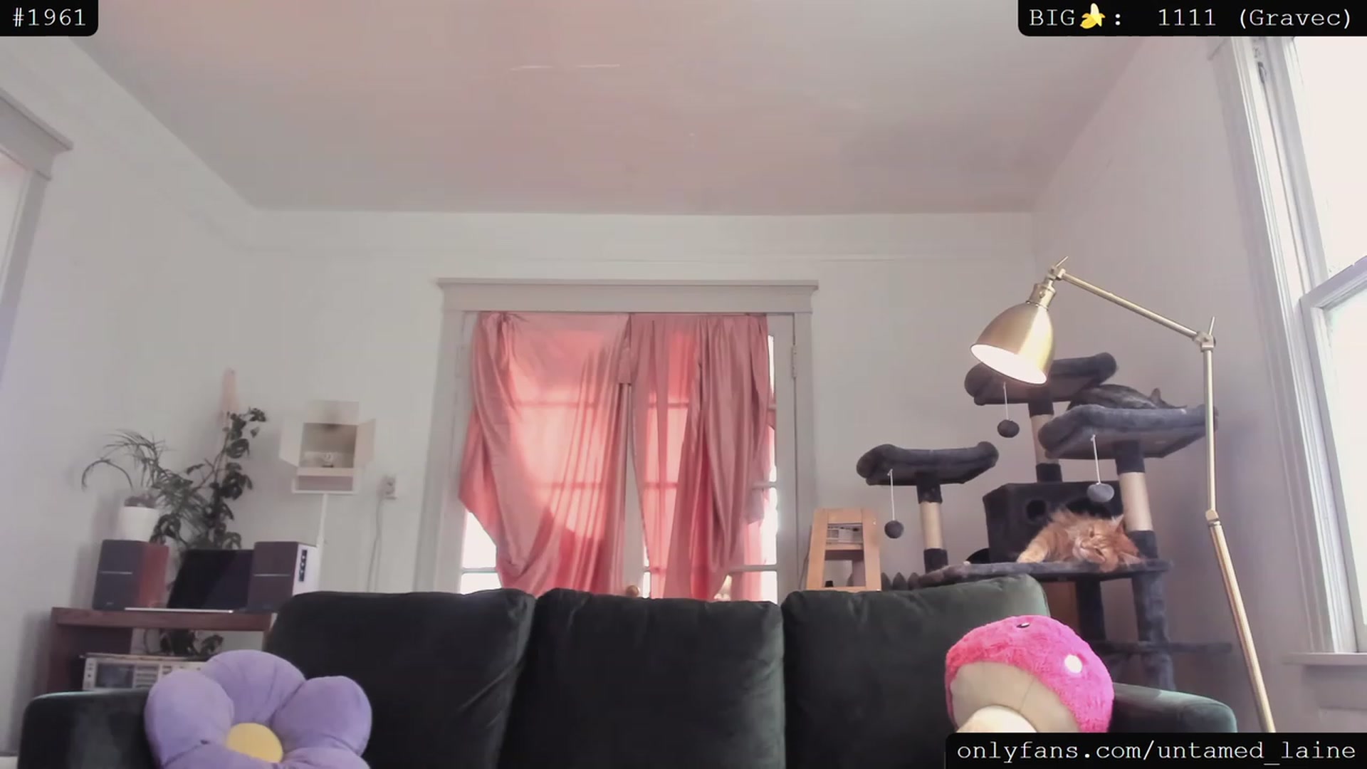 Gallery image thumbnail from e_laine's myfreecams stream on, 06/04/2023, 24:05 image 18 of 20