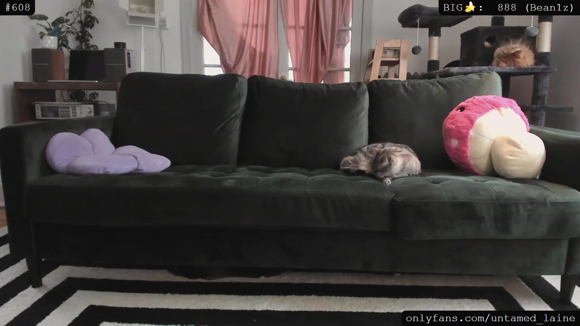 Gallery image thumbnail from e_laine's myfreecams stream on, 06/08/2023, 01:12 image 18 of 20