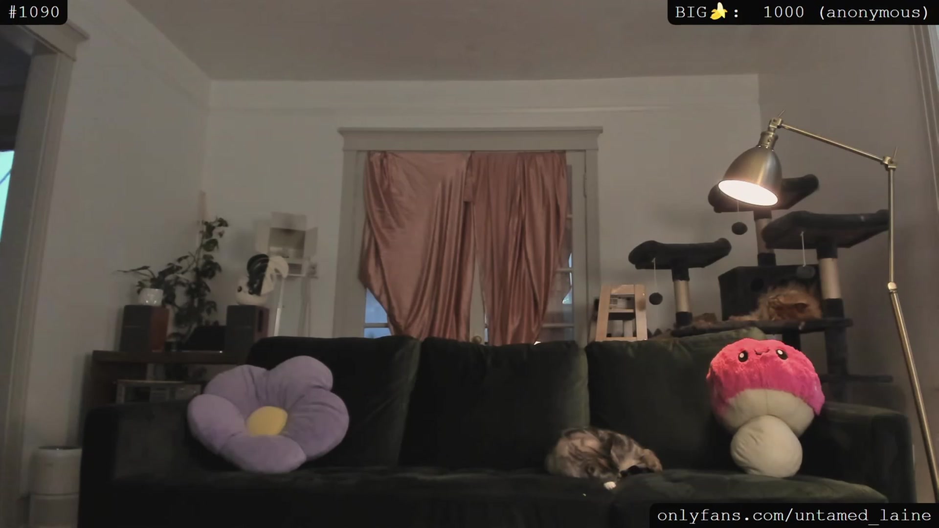 Gallery image thumbnail from e_laine's myfreecams stream on, 06/15/2023, 02:46 image 11 of 20
