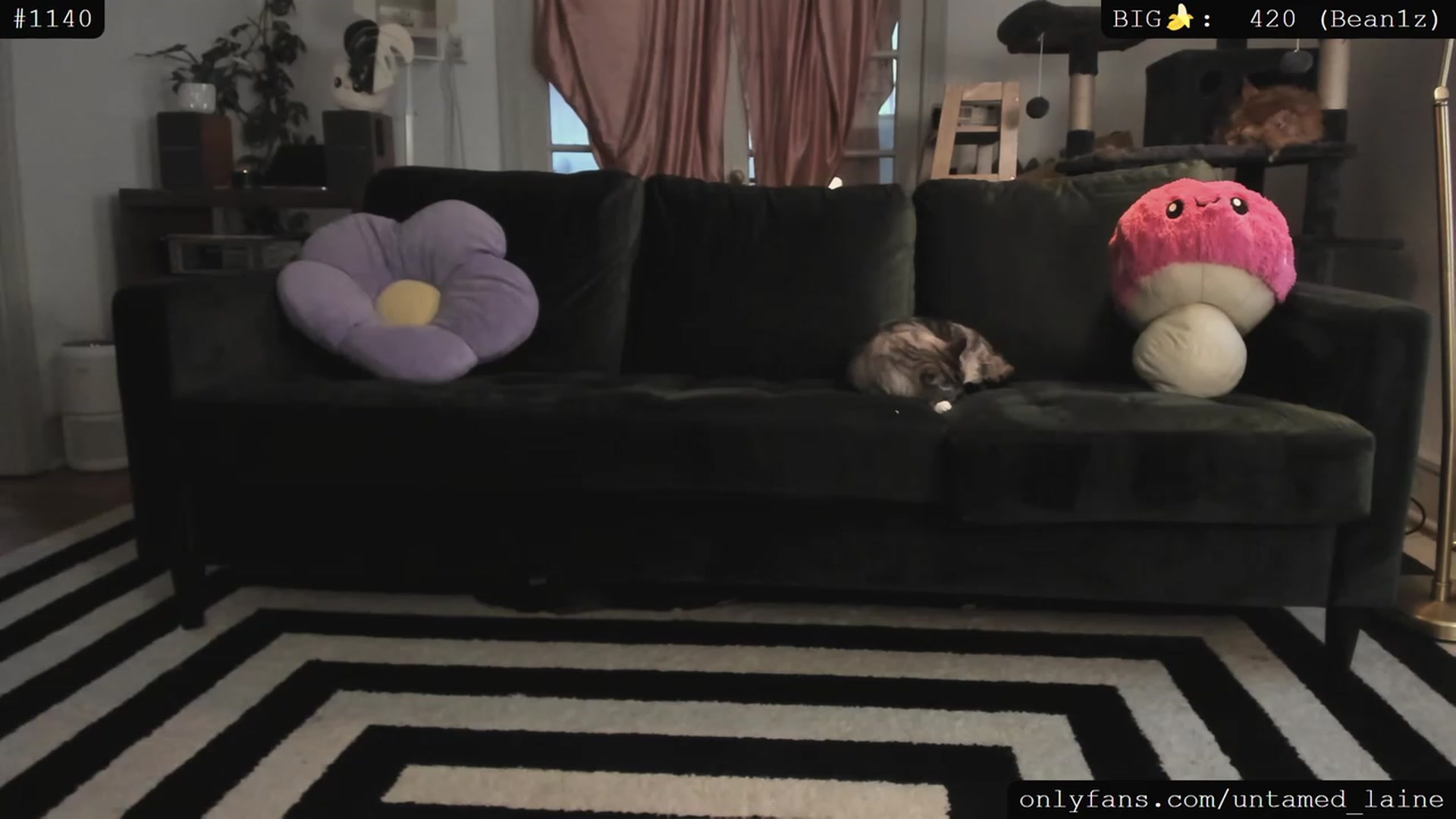 Gallery image thumbnail from e_laine's myfreecams stream on, 06/15/2023, 02:46 image 5 of 20