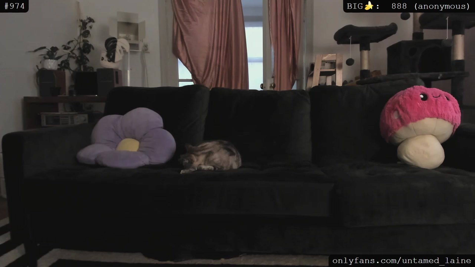 Gallery image thumbnail from e_laine's myfreecams stream on, 06/16/2023, 02:23 image 13 of 20