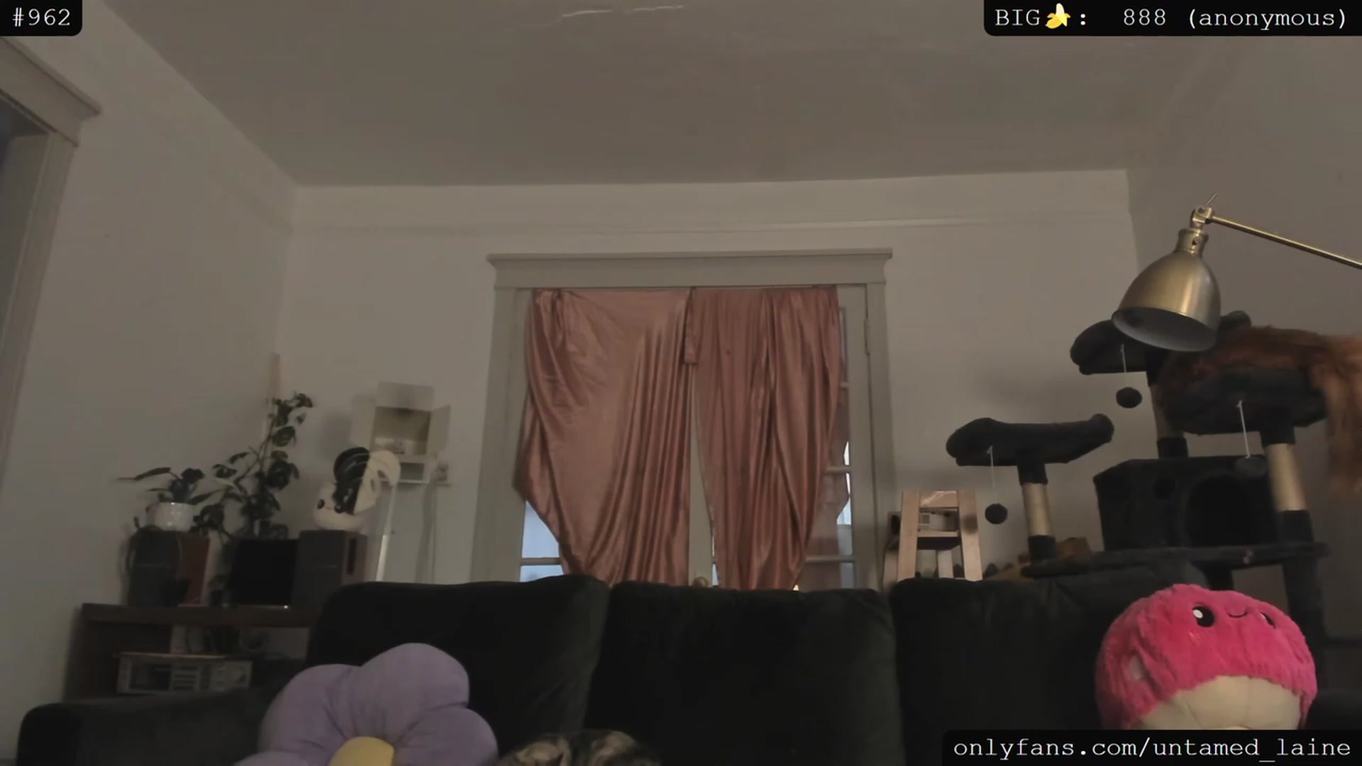 Gallery image thumbnail from e_laine's myfreecams stream on, 06/16/2023, 03:01 image 16 of 20