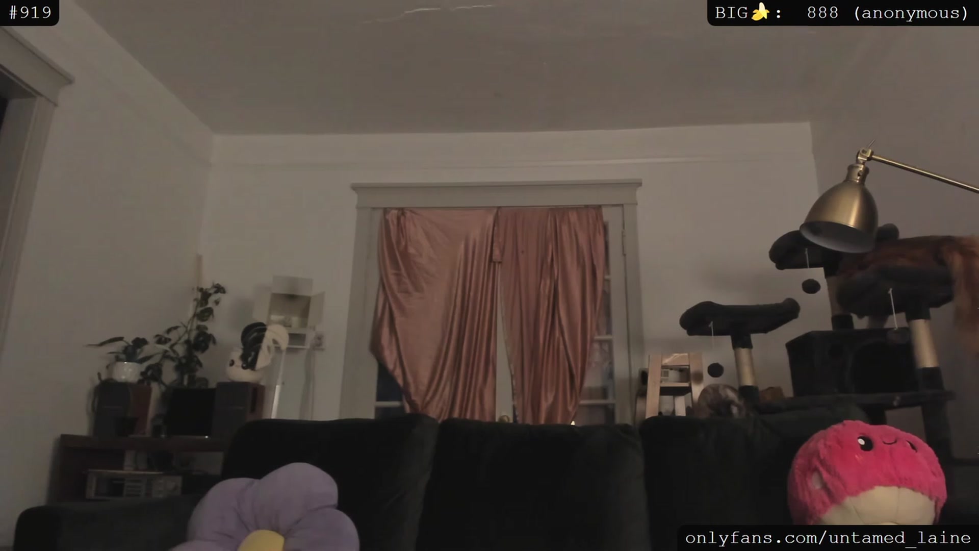 Gallery image thumbnail from e_laine's myfreecams stream on, 06/16/2023, 03:00 image 5 of 20