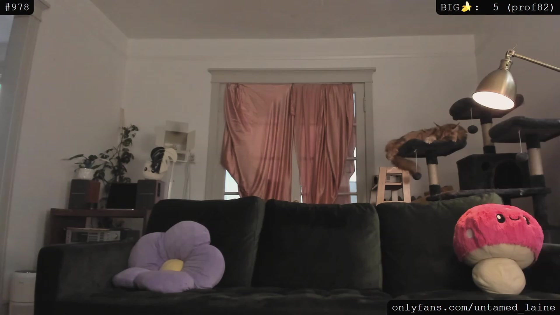 Gallery image thumbnail from e_laine's myfreecams stream on, 06/17/2023, 24:33 image 17 of 20