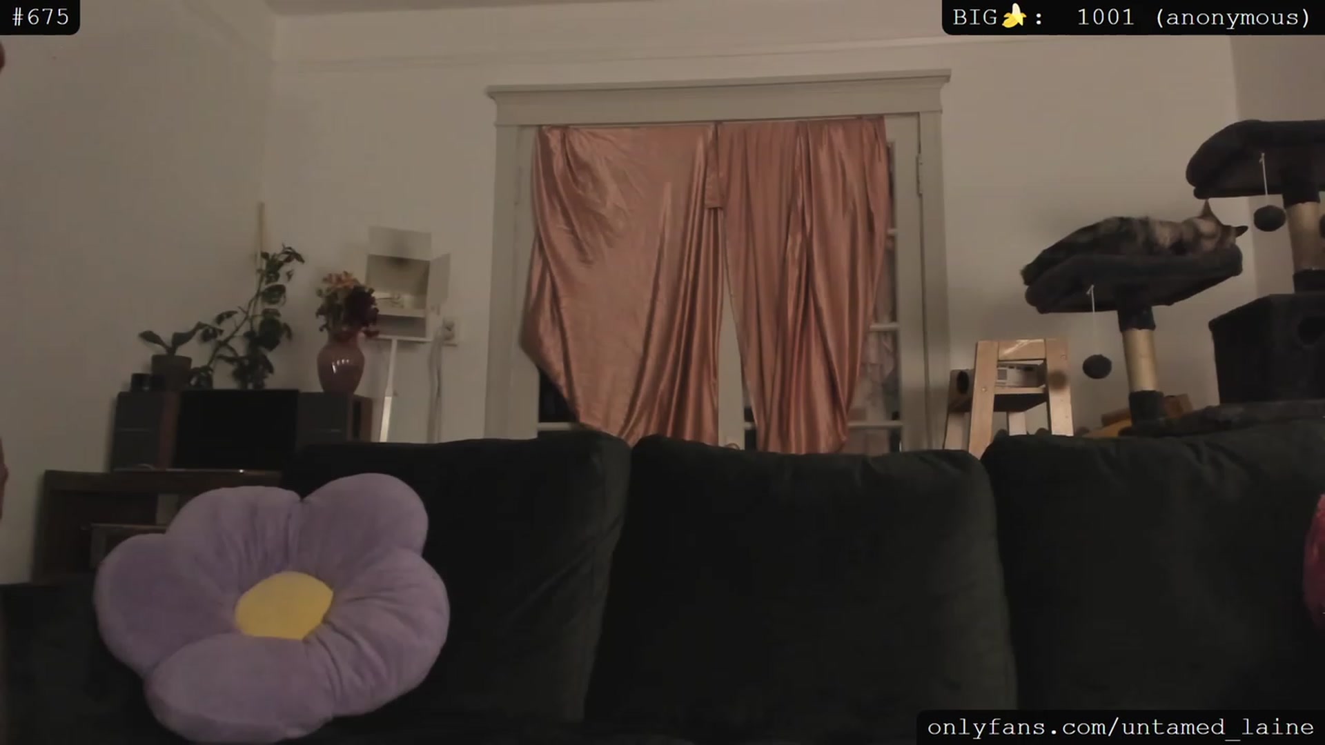 Gallery image thumbnail from e_laine's myfreecams stream on, 06/27/2023, 04:02 image 12 of 20
