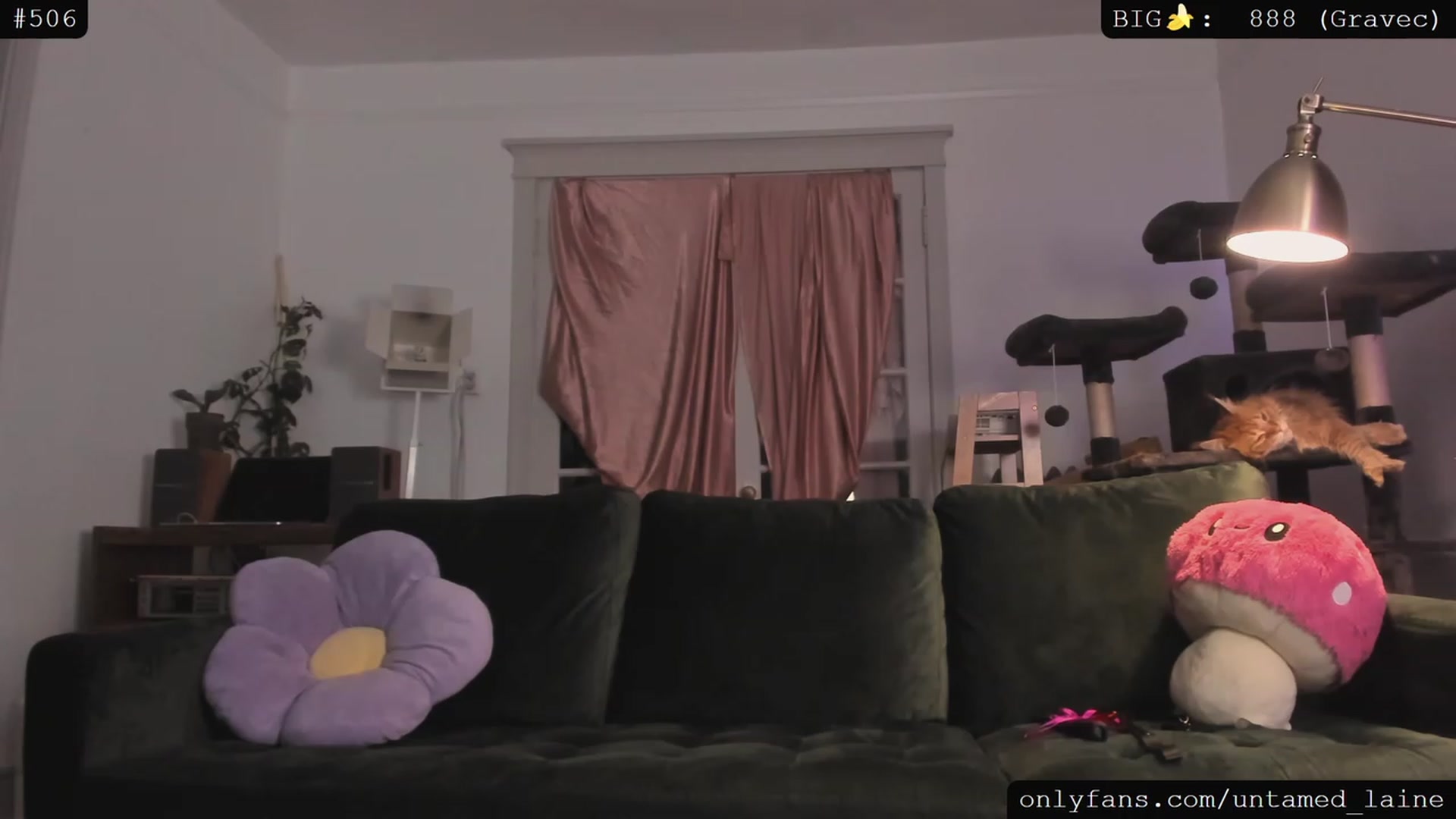 Gallery image thumbnail from e_laine's myfreecams stream on, 07/01/2023, 05:35 image 10 of 20