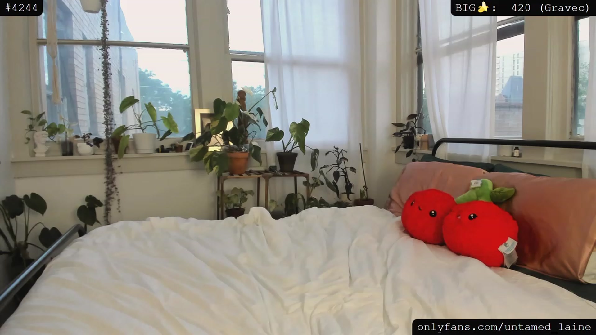 Gallery image thumbnail from e_laine's myfreecams stream on, 07/07/2023, 02:46 image 11 of 20