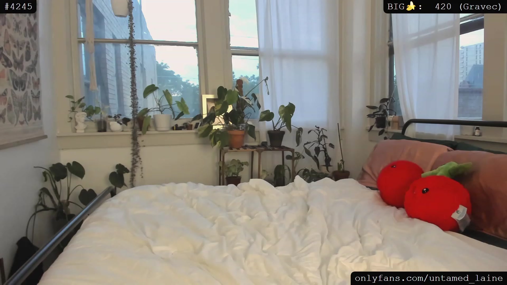 Gallery image thumbnail from e_laine's myfreecams stream on, 07/07/2023, 02:46 image 15 of 20
