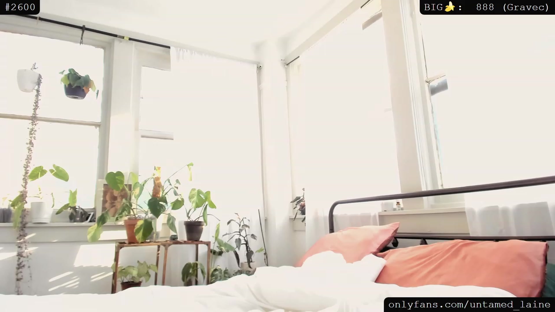 Gallery image thumbnail from e_laine's myfreecams stream on, 07/13/2023, 01:10 image 1 of 20