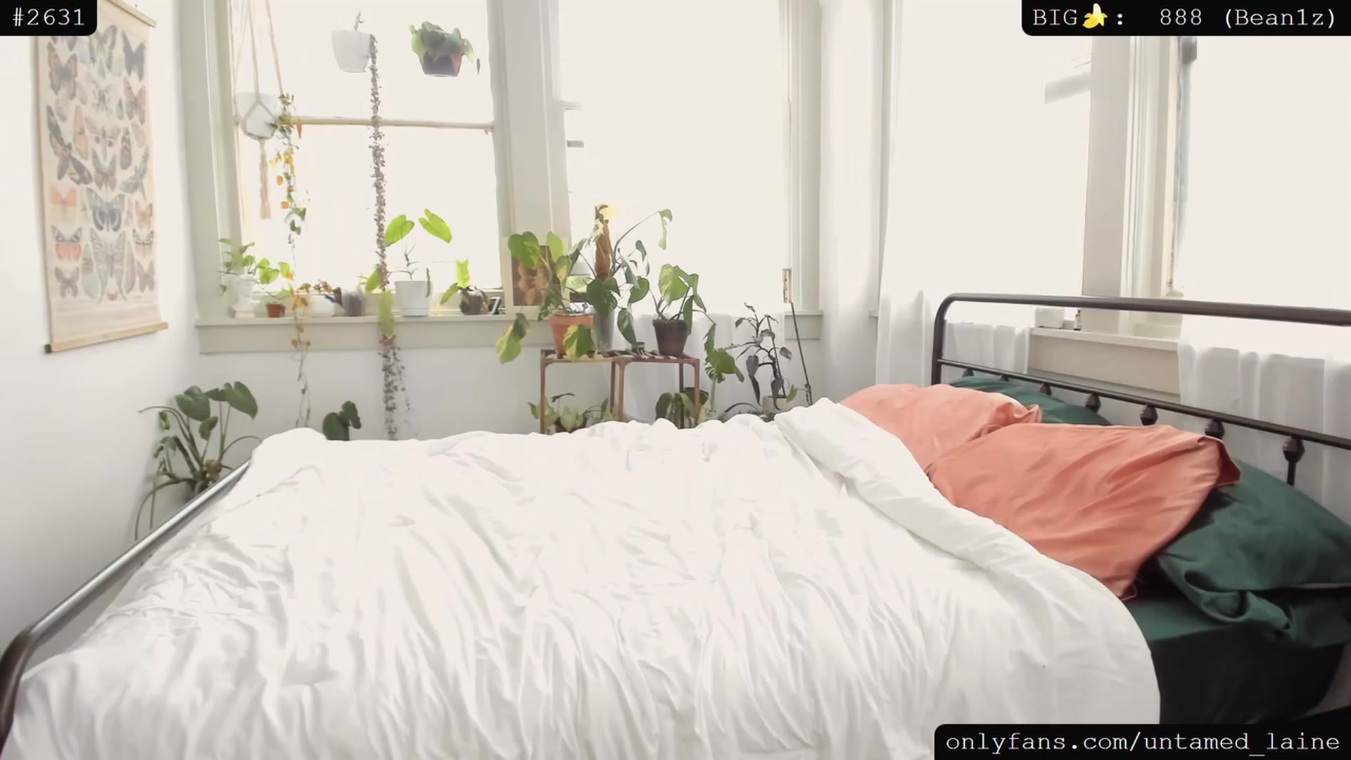 Gallery image thumbnail from e_laine's myfreecams stream on, 07/14/2023, 19:01 image 6 of 20