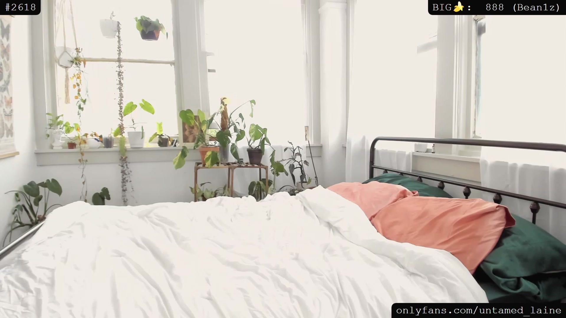 Gallery image thumbnail from e_laine's myfreecams stream on, 07/14/2023, 19:01 image 14 of 20