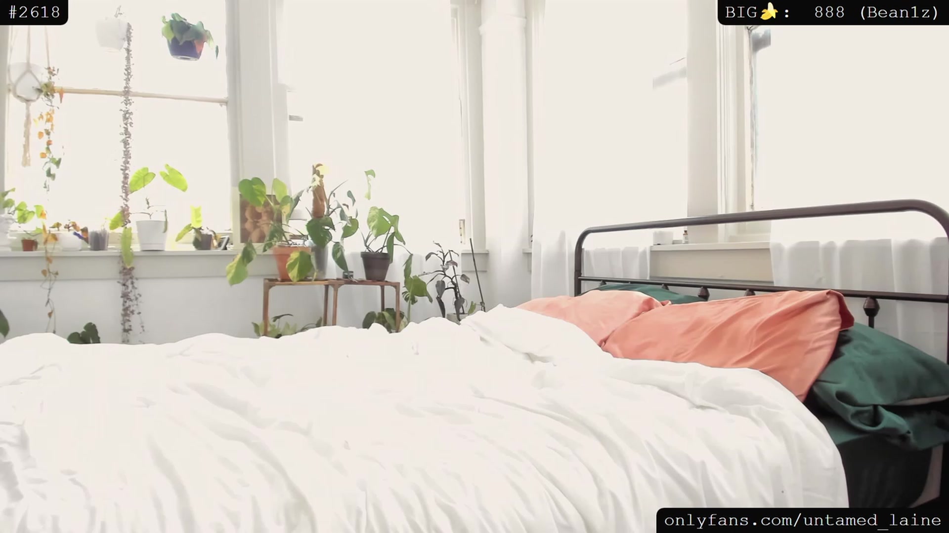 Gallery image thumbnail from e_laine's myfreecams stream on, 07/14/2023, 19:01 image 12 of 20