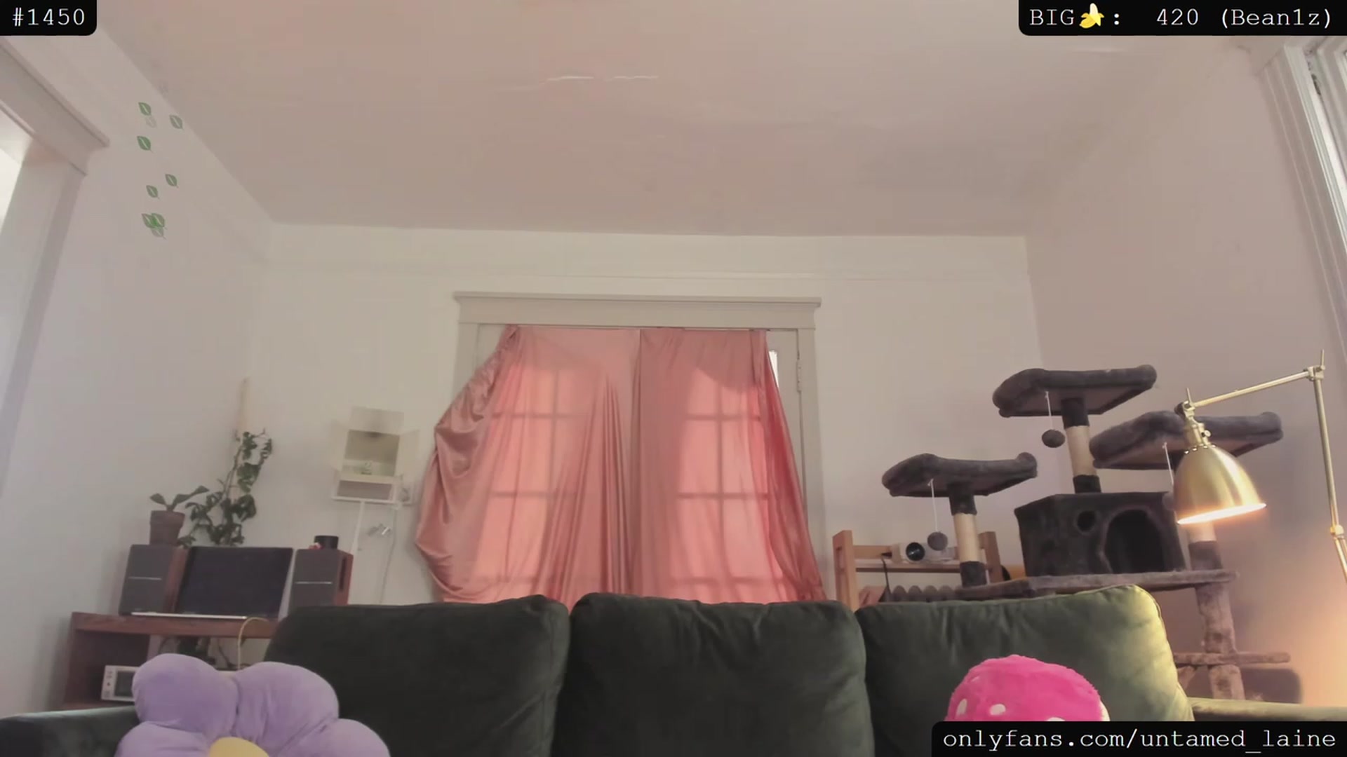 Gallery image thumbnail from e_laine's myfreecams stream on, 07/21/2023, 24:01 image 14 of 20
