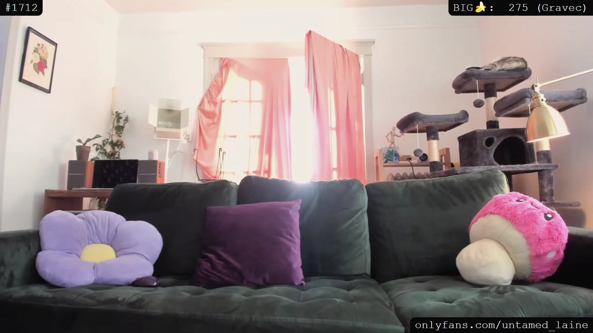 Gallery image thumbnail from e_laine's myfreecams stream on, 07/29/2023, 24:44 image 13 of 20