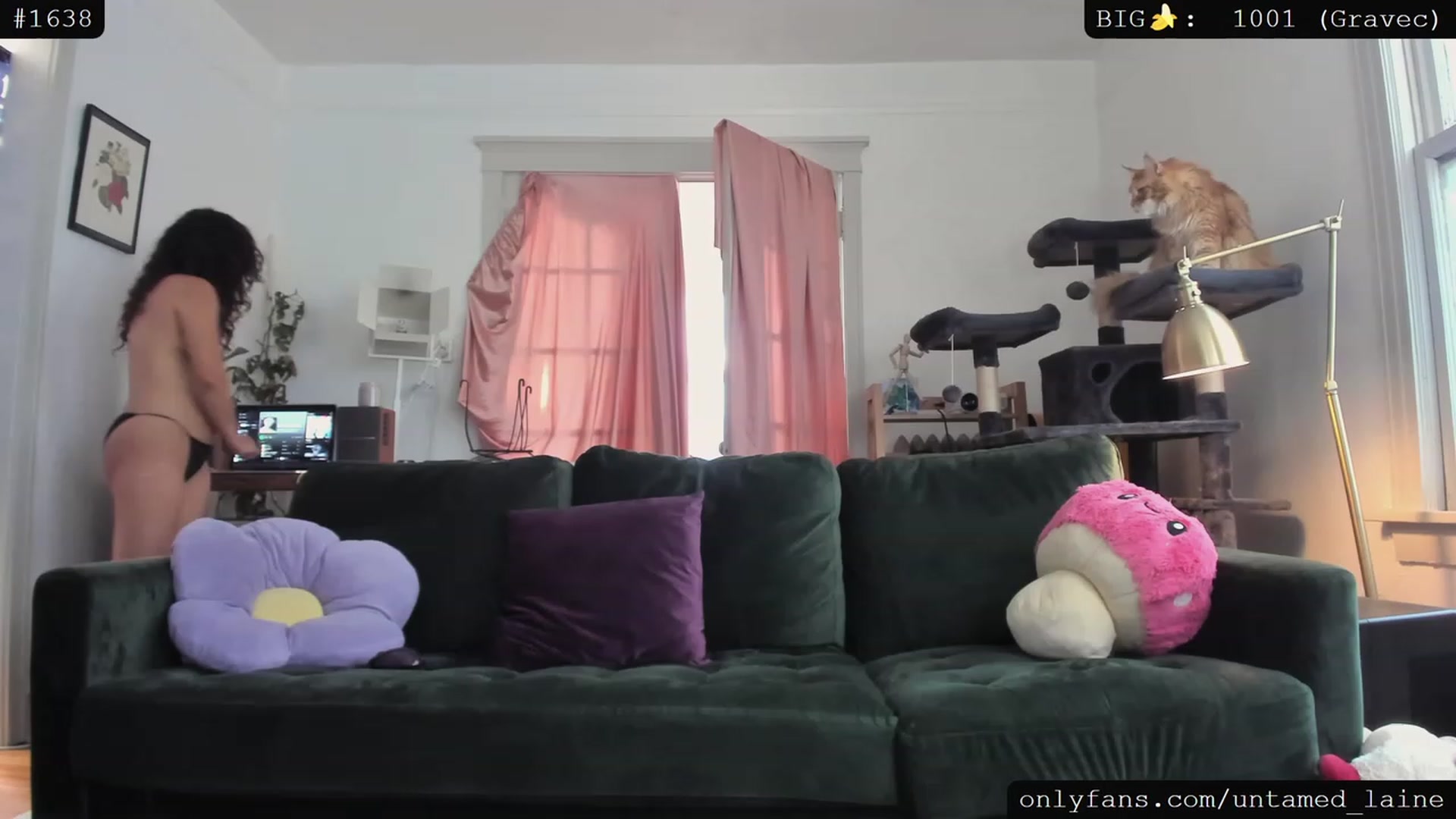Gallery image thumbnail from e_laine's myfreecams stream on, 07/29/2023, 03:08 image 5 of 20