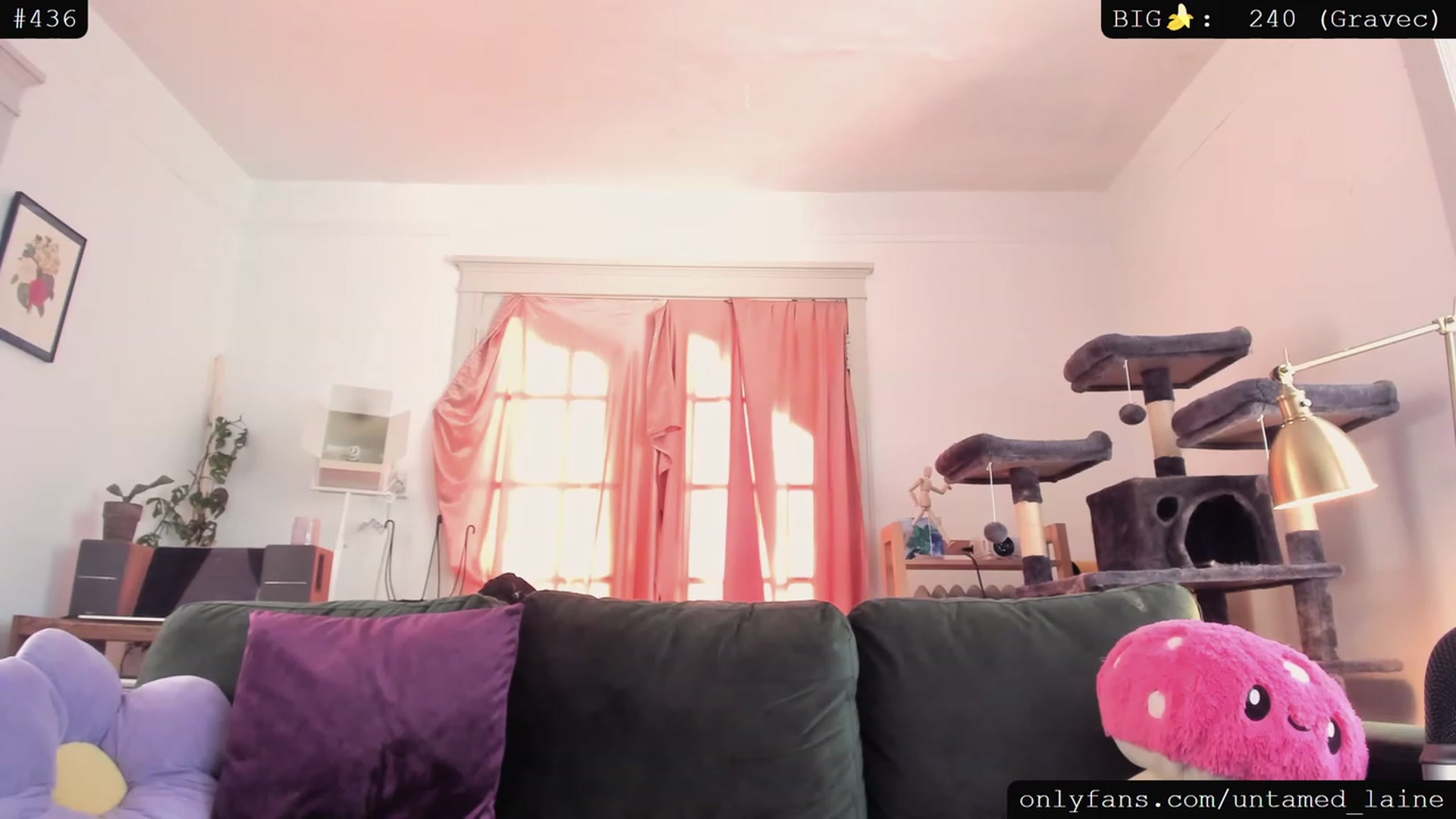 Gallery image thumbnail from e_laine's myfreecams stream on, 08/03/2023, 24:35 image 18 of 20
