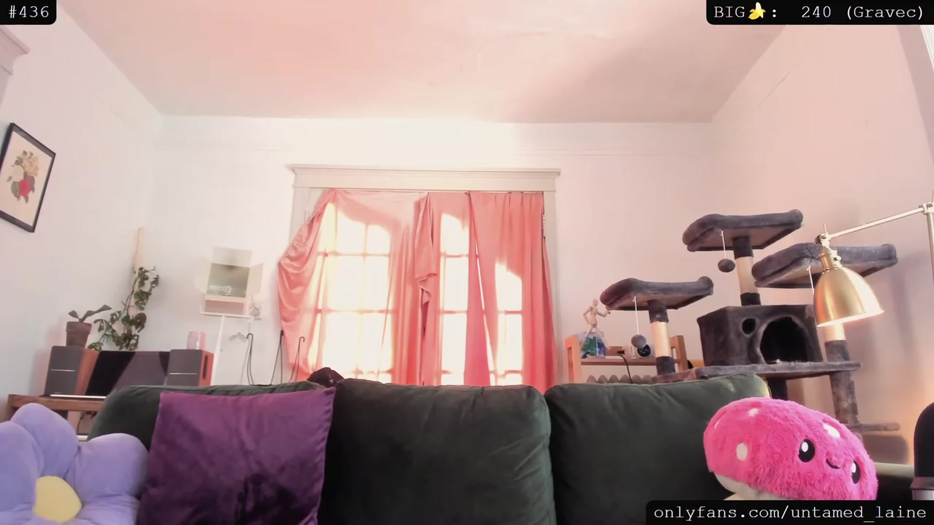 Gallery image thumbnail from e_laine's myfreecams stream on, 08/03/2023, 01:29 image 1 of 20