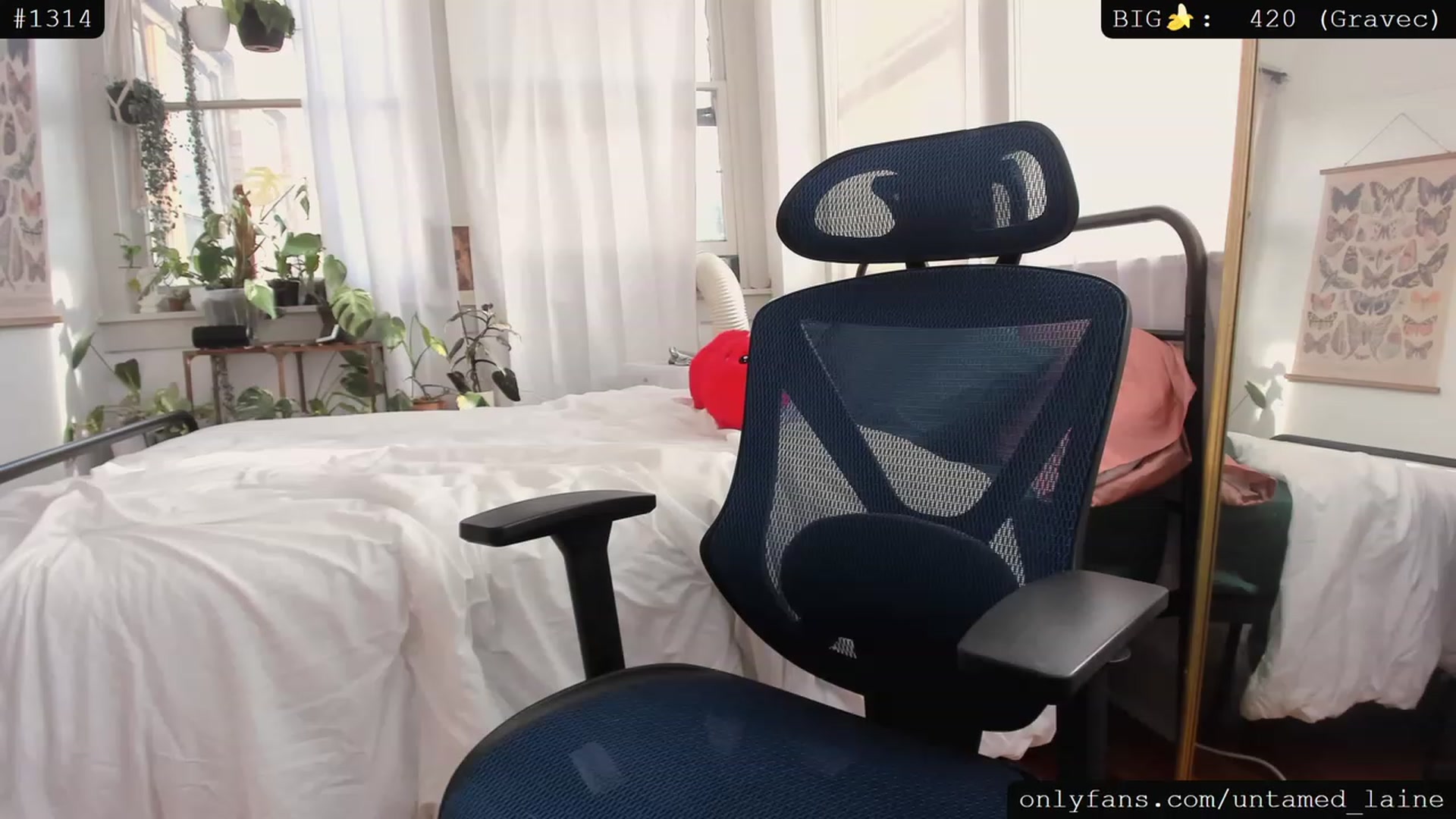 Gallery image thumbnail from e_laine's myfreecams stream on, 08/08/2023, 24:01 image 19 of 20