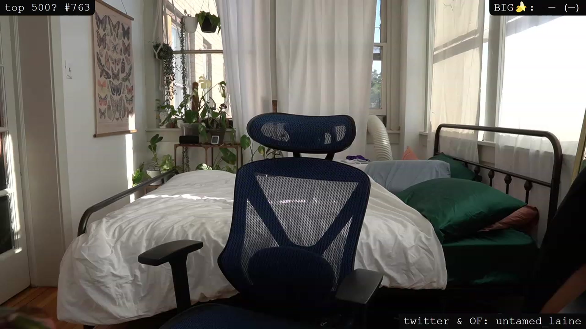 Gallery image thumbnail from e_laine's myfreecams stream on, 08/14/2023, 23:58 image 5 of 20