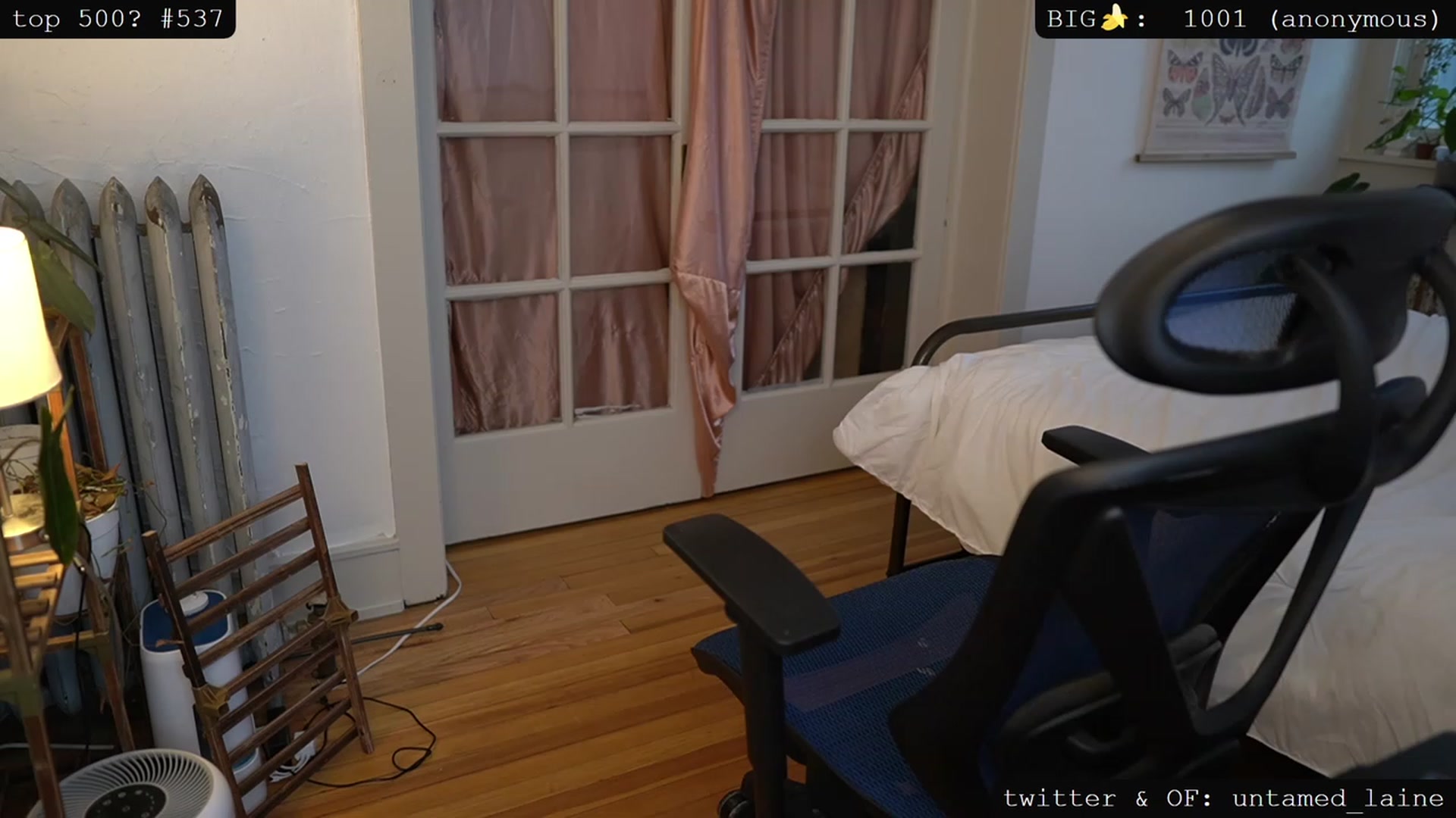 Gallery image thumbnail from e_laine's myfreecams stream on, 08/17/2023, 03:06 image 11 of 20