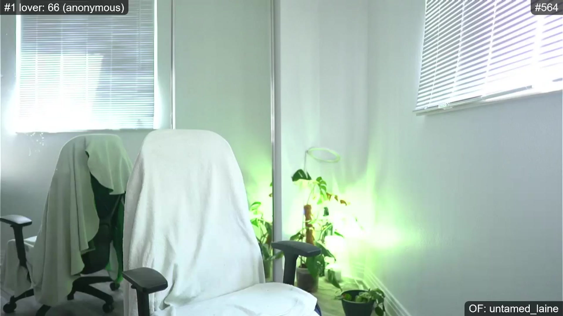 Gallery image thumbnail from e_laine's myfreecams stream on, 05/07/2024, 22:03 image 7 of 20