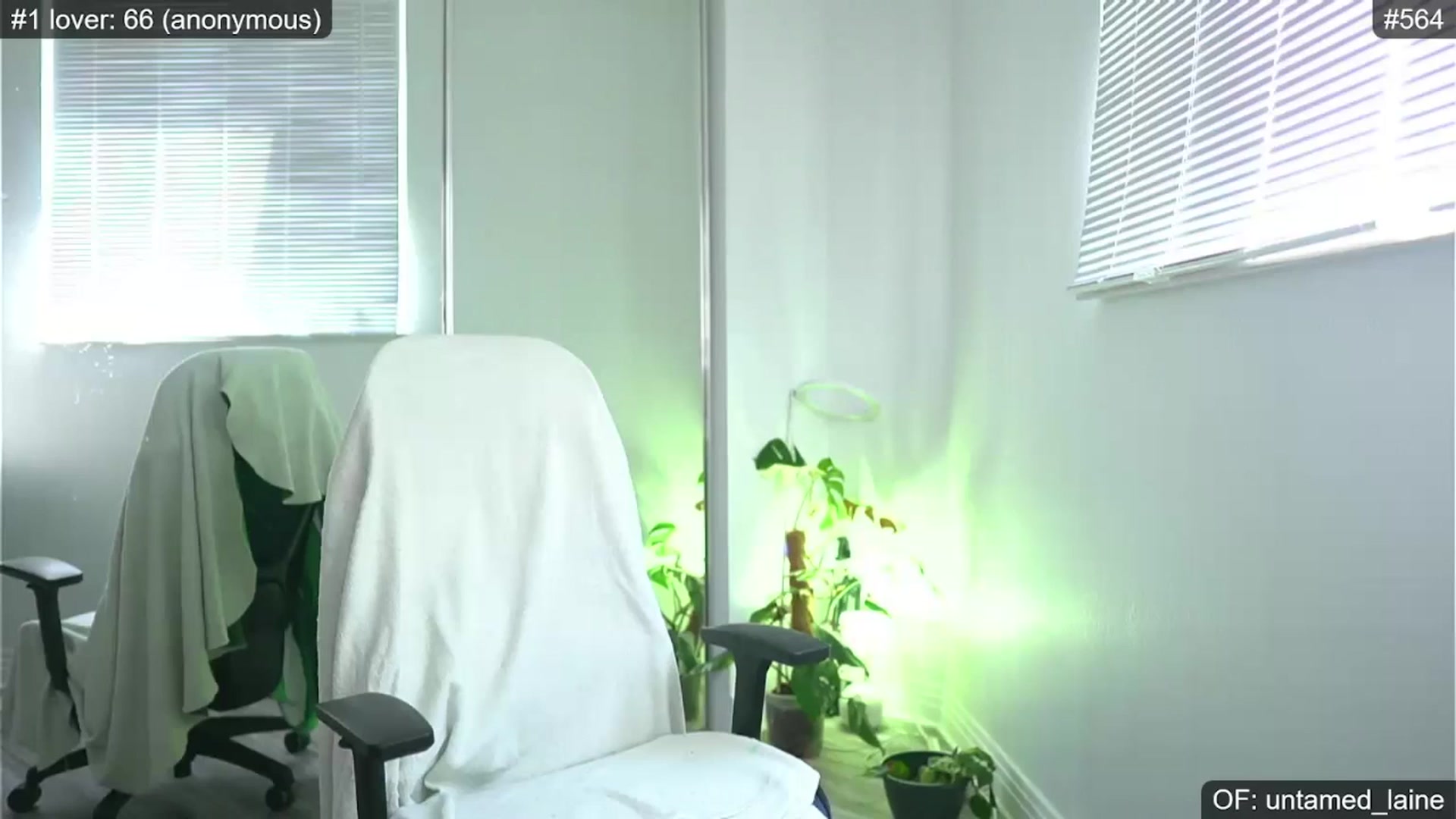 Gallery image thumbnail from e_laine's myfreecams stream on, 05/07/2024, 22:03 image 10 of 20