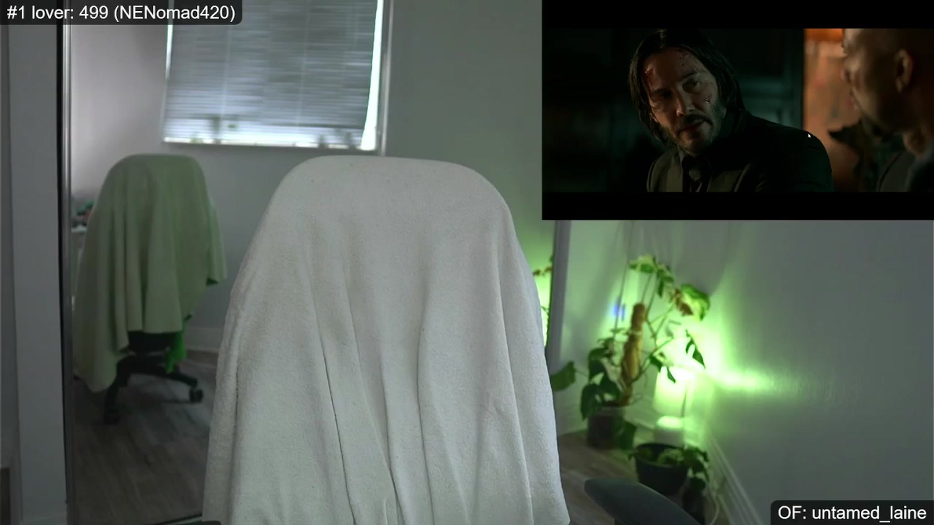 Gallery image thumbnail from e_laine's myfreecams stream on, 05/10/2024, 02:02 image 3 of 20