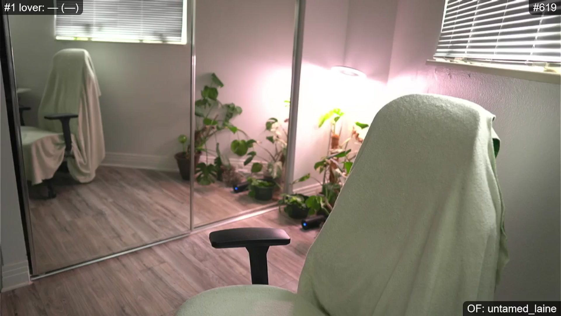 Gallery image thumbnail from e_laine's myfreecams stream on, 05/20/2024, 22:28 image 14 of 20