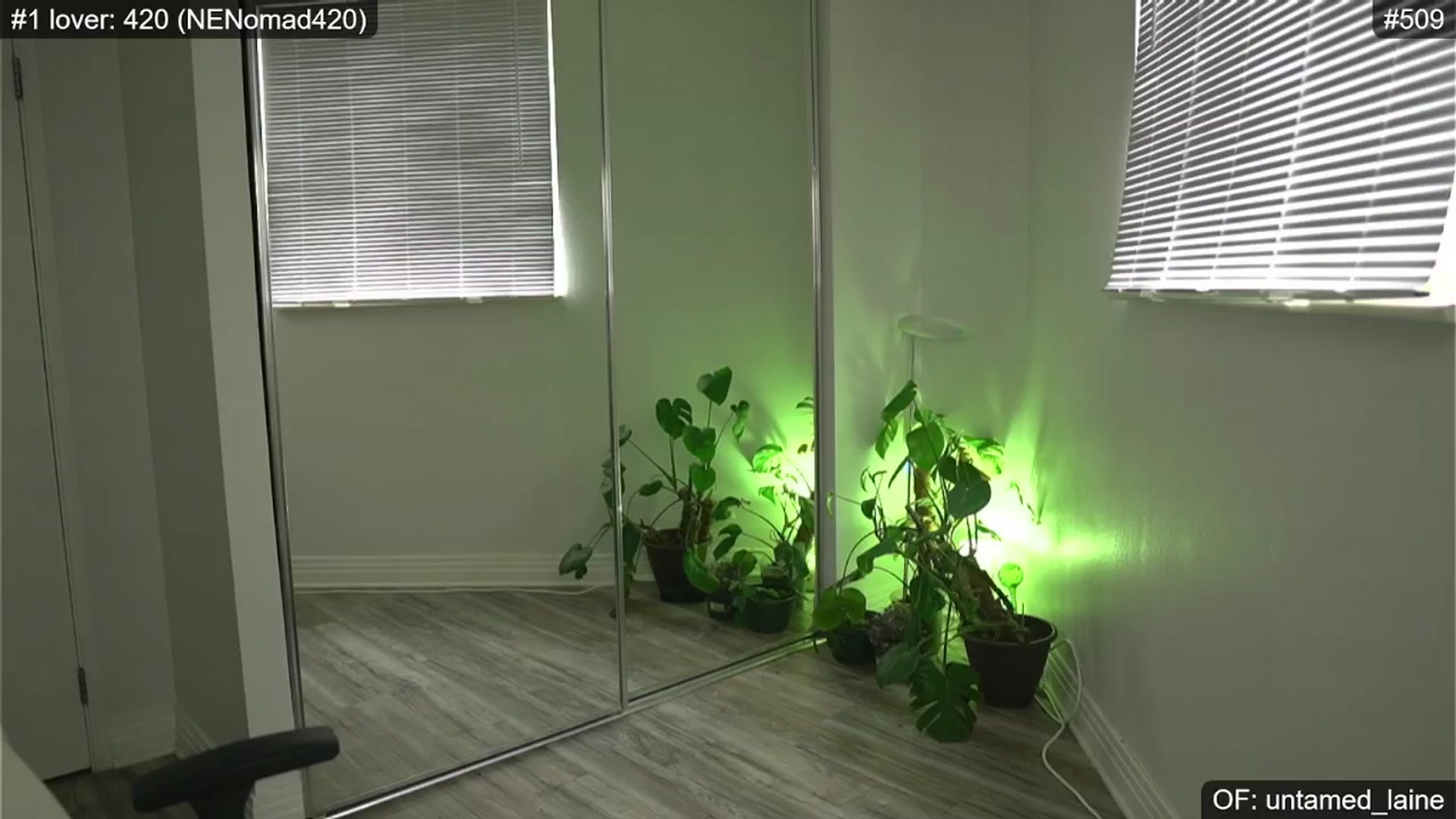 Gallery image thumbnail from e_laine's myfreecams stream on, 05/25/2024, 24:59 image 3 of 20