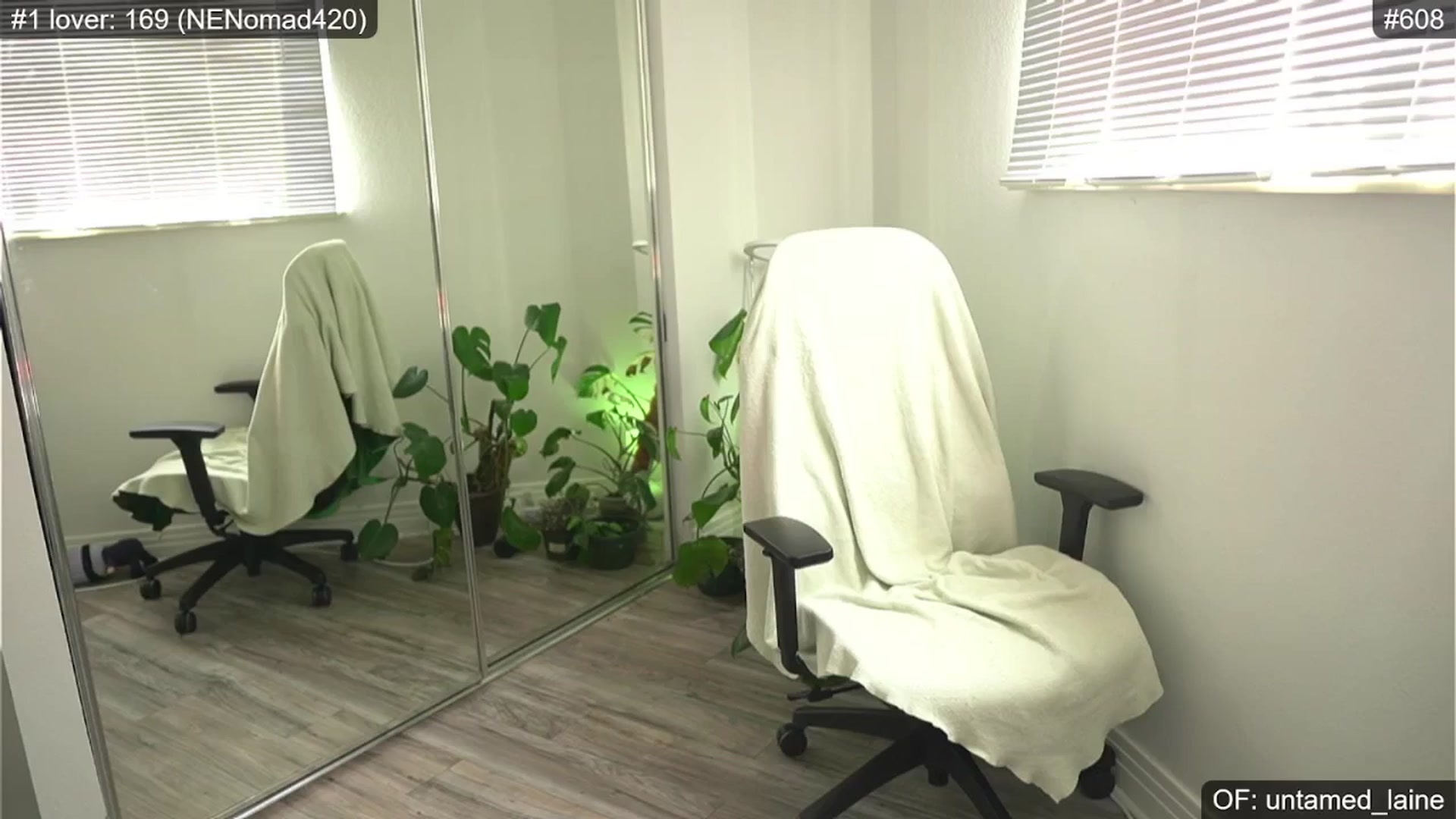 Gallery image thumbnail from e_laine's myfreecams stream on, 05/30/2024, 01:23 image 9 of 20