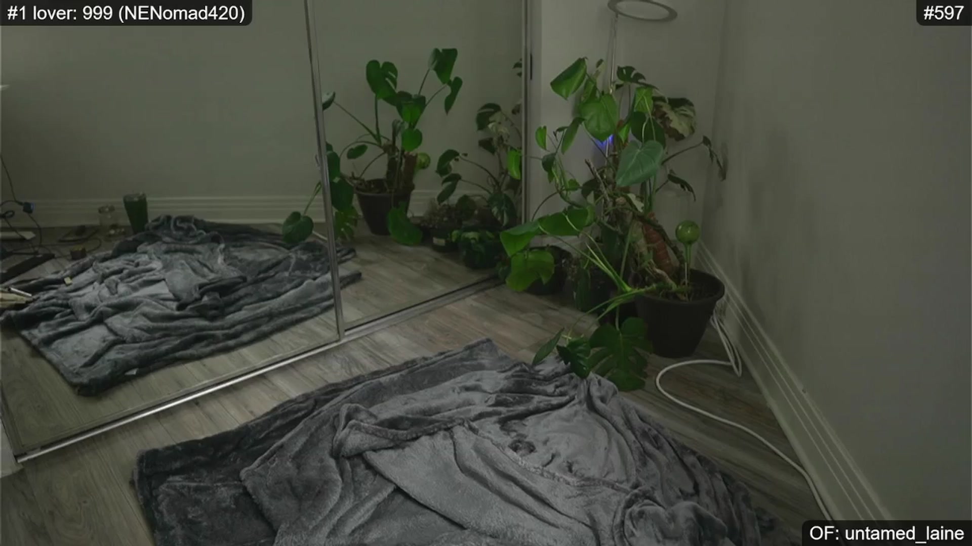 Gallery image thumbnail from e_laine's myfreecams stream on, 06/01/2024, 01:26 image 4 of 20